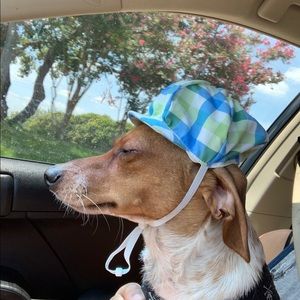 Meet your Posher, Ricky